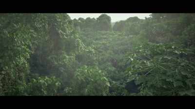 - That guy shouldn't even be hunting here.
- I see. - Virgin Forest