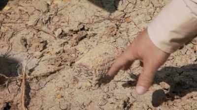 THAT HAPPENED
66 1/2 MILLION YEARS AGO - Dino Hunters