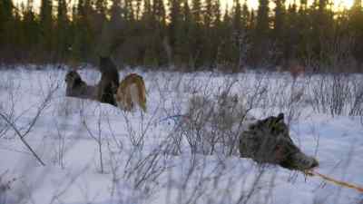 THAT HAT CRACKS ME UP. - The Last Alaskans