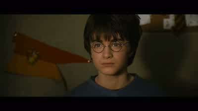 ...that he was able to do this performance with, basically, a tennis ball... - Harry Potter and the Chamber of Secrets