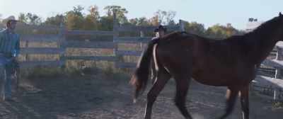 That I got in this horse here, - The Rider