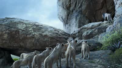 That I must assume the throne - The Lion King