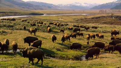 That I was part of something
much bigger than myself. - Our Great National Parks