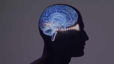 That info zips to the brain… - Human: The World Within