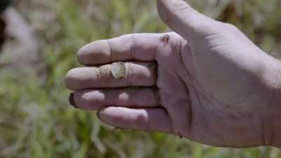 That is
a silver Confederate coin! - The Curse of Civil War Gold