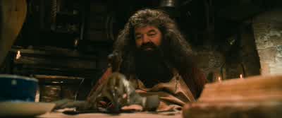That is why tomorrow it will be moved to a new home. - Harry Potter and the Philosopher's Stone