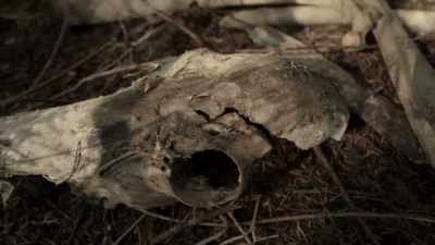 That is just really spooky. - Expedition Bigfoot