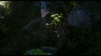 That lady you called. - Jurassic Park III