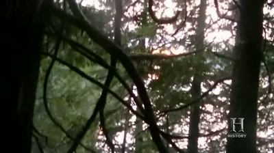 That little lean-to's
gonna be great - Alone