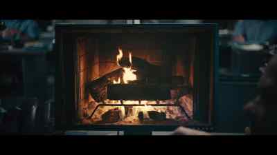 That log matches the one - Adult Swim Yule Log 2: Branchin' Out