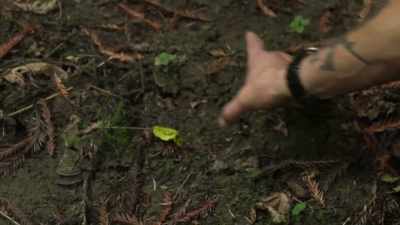 That looks almost like
a footprint. - Expedition Bigfoot