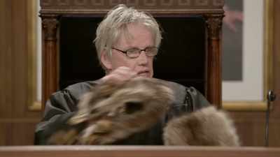 That makes a big difference - Gary Busey: Pet Judge