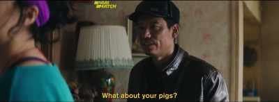 That many pigs, all died? - Dead Pigs