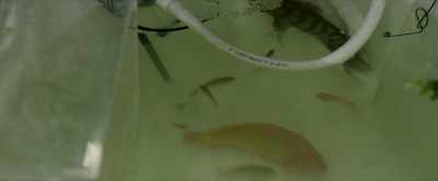 That was me. - Biosphere
