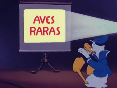 That means  strange birds - The Three Caballeros