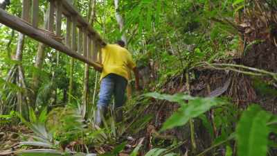 THAT MEANS TREKKING DEEPER
INTO THE RAINFOREST - Lost Cities of the Amazon