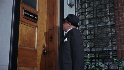 That mensch - A Fine Madness