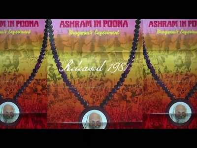 That movie, Ashram in Poona,
it was, you know... - Wild Wild Country