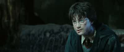 ...that Mr. - Harry Potter and the Chamber of Secrets