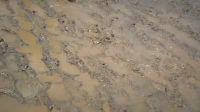 That mudflat, it's just a really
extreme environment to work... - Attenborough's Life in Colour