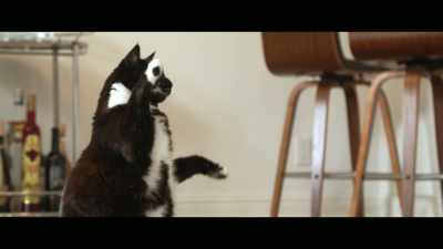 That was my way to
get to talk with her. - Cat Daddies