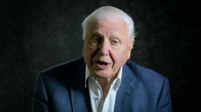 That is my witness statement. - David Attenborough: A Life on Our Planet