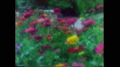 That night, I was in the garden, - Secrets of Playboy