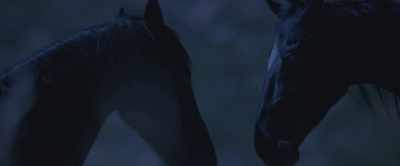 That night my mother told me a story - Black Beauty