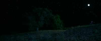 That night,
we started something - Monsters of California