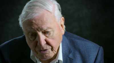 That non-human world is gone. - David Attenborough: A Life on Our Planet
