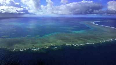 That now manifests
in this massive structure - Chasing Coral