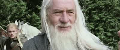 That is one of the Mearasunless my eyes are cheated by some spellShadowfaxHe is the lord of all horsesand has been my friend through many dangers - The Lord of the Rings: The Two Towers