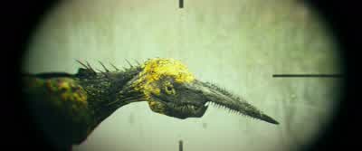 That is one ugly ass bird. - Kong: Skull Island