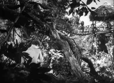 That ought to teach you, Cheeta.
Stealing doesn't pay. - Tarzan and the Huntress
