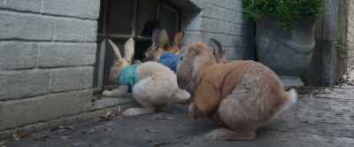 That was our cell. - Peter Rabbit 2: The Runaway