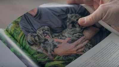 That panther, that's a mommy panther
with three kittens. - Path of the Panther