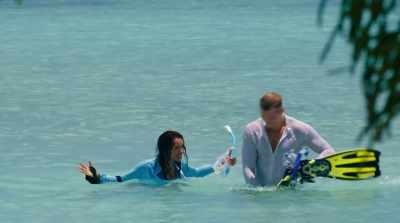 That parrotfish
was like a rainbow with fins! - Operation Christmas Drop