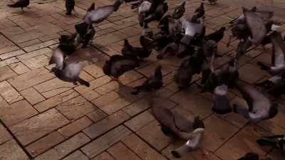 That police officer
Kenneth A. McDowell, - Project Blue Book Exposed