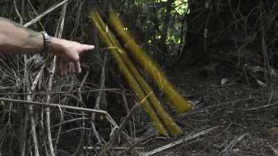That pyramid shape - Expedition Bigfoot