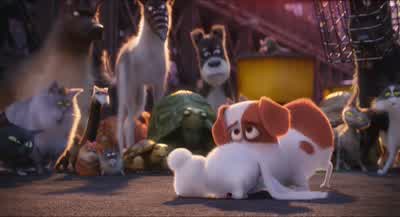 That raccoon is lyingHe's not the president - The Secret Life of Pets