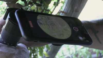 That is really an interesting
and unique video. - Expedition Bigfoot