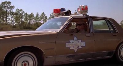 That reminds me - Smokey and the Bandit II