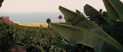 That room is bugged Hobbs - Fast & Furious 6