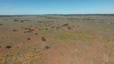 That saltbush is very much
like olive trees - Miriam Margolyes: Australia Unmasked