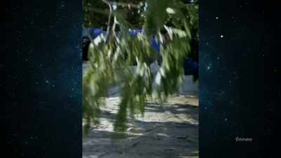 That scene, - The Center Seat: 55 Years of Star Trek