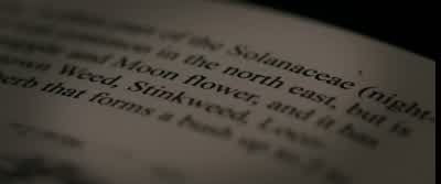 That settles it. - The Autopsy of Jane Doe