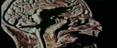 That seven inches of inner space - MK Ultra