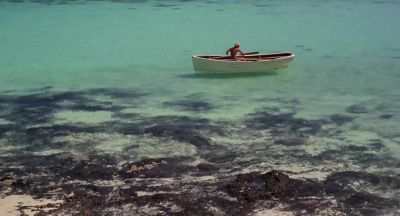 That should be our New Year's ''revolution '' Stop fighting so much - The Blue Lagoon