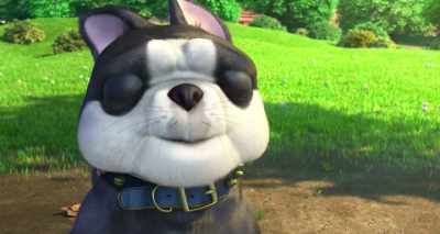 That smushed-in face. Those bulging eyes. - The Nut Job 2: Nutty by Nature