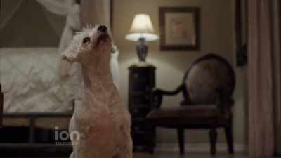 That is so phony-sounding. - A Christmas in Royal Fashion